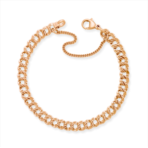 Light Double Curb Charm Bracelet