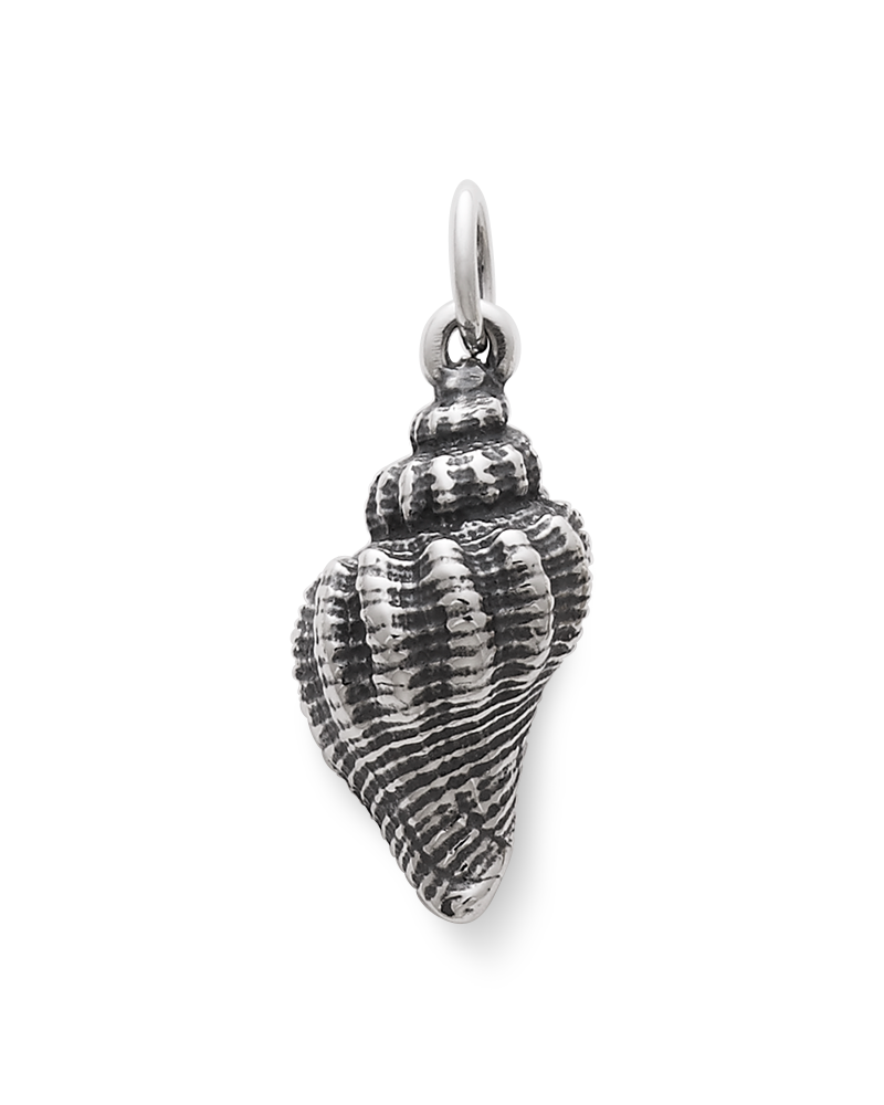 Fluted Conch Shell Charm - Image 3