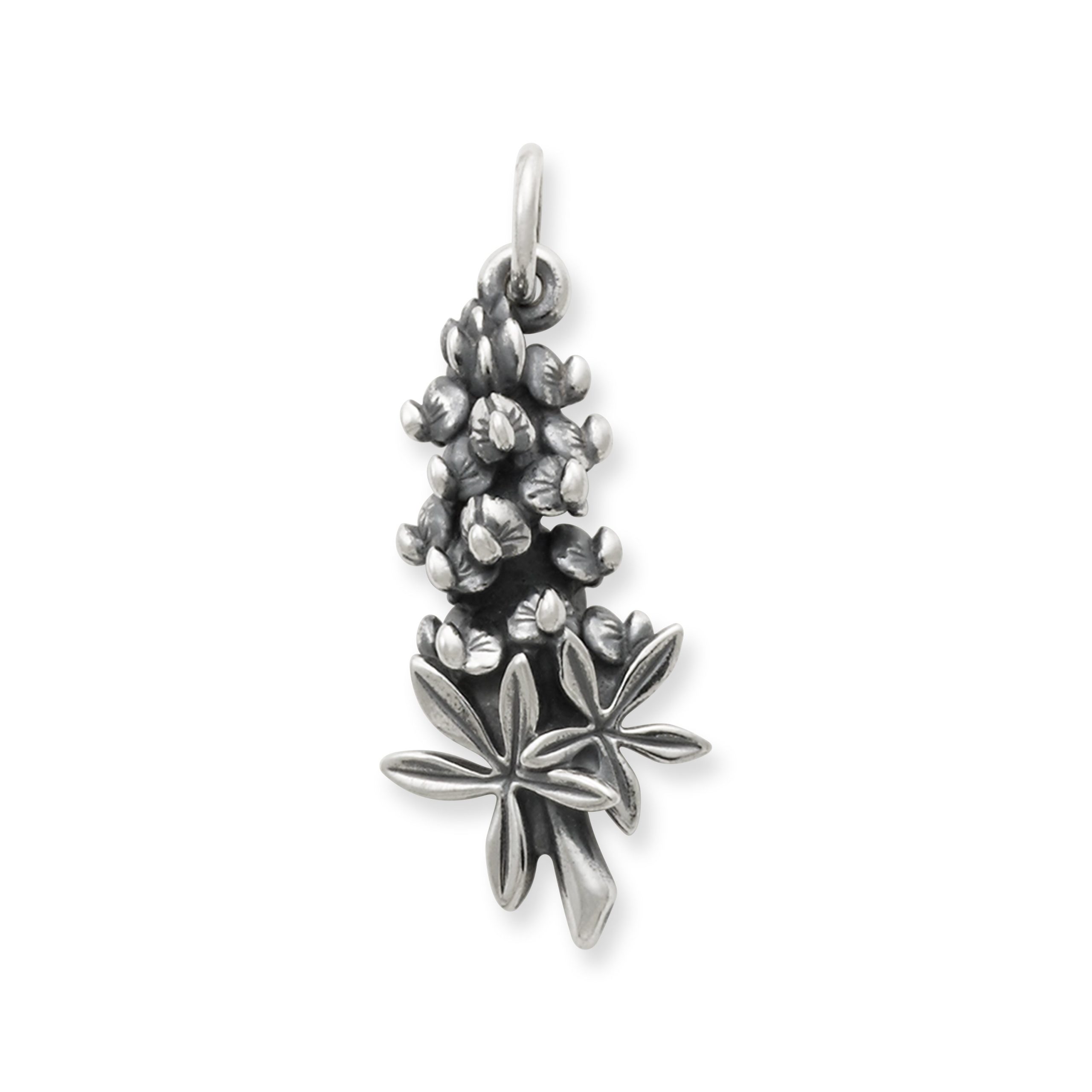 Bluebonnet Charm - Image 2