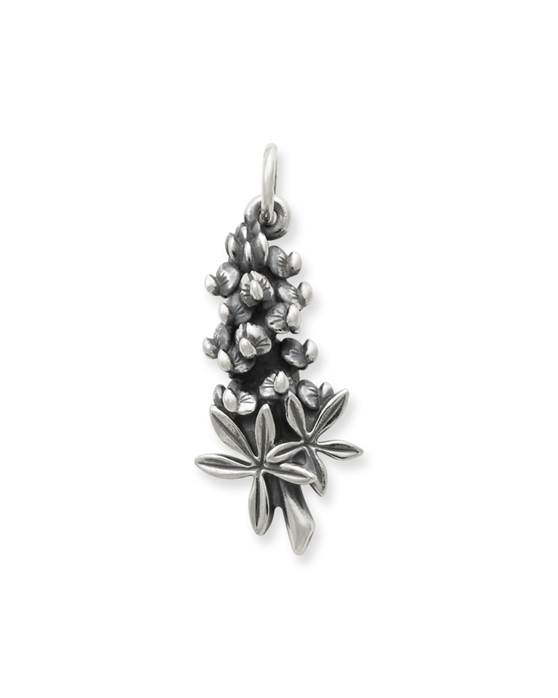 Bluebonnet Charm - Image 3