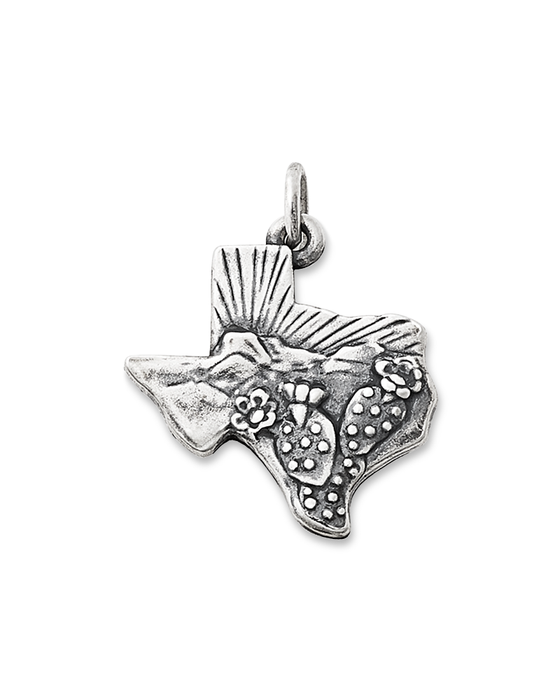Texas Landscape Charm
