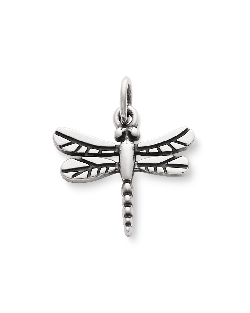 Dragonfly Charm