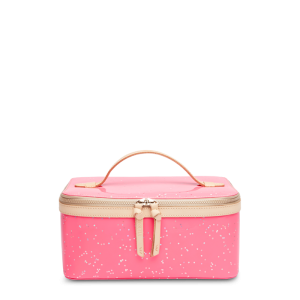 Shine Train Case