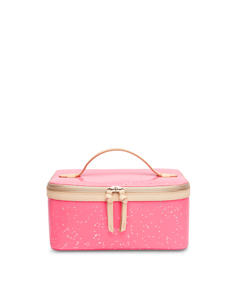 Shine Train Case