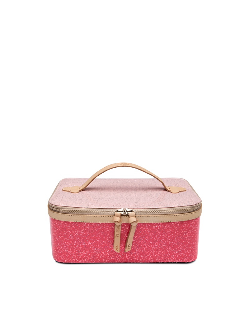 Bae Train Case